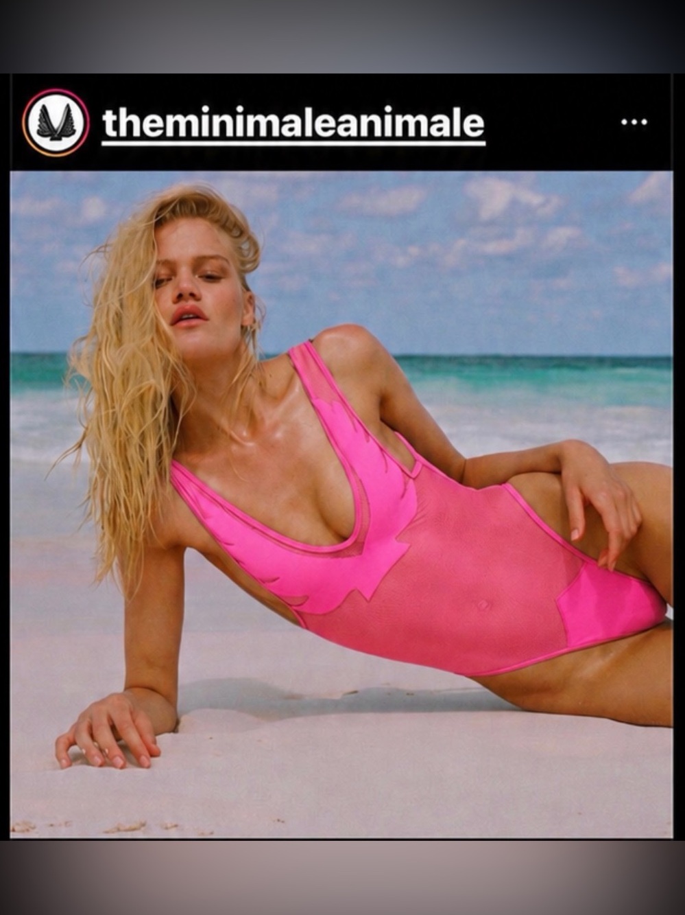 MINIMALE ANIMALE pink FIREBIRD mesh one piece swimsuit